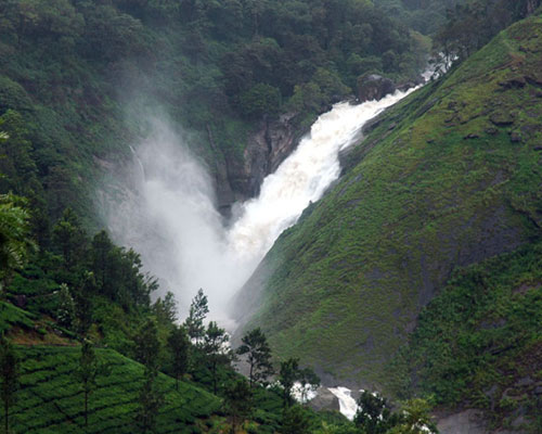 chinnar wild life sanctuary munnar